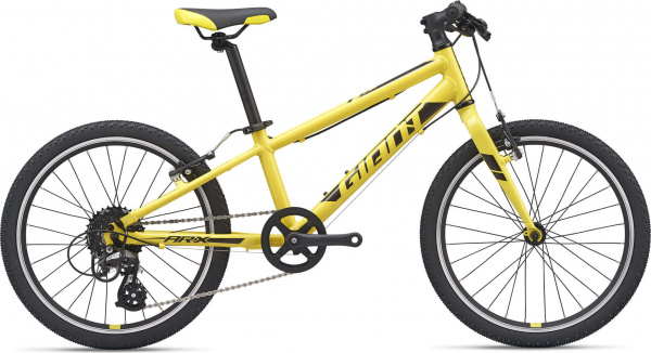 Велосипед GIANT ARX 20 (2021)